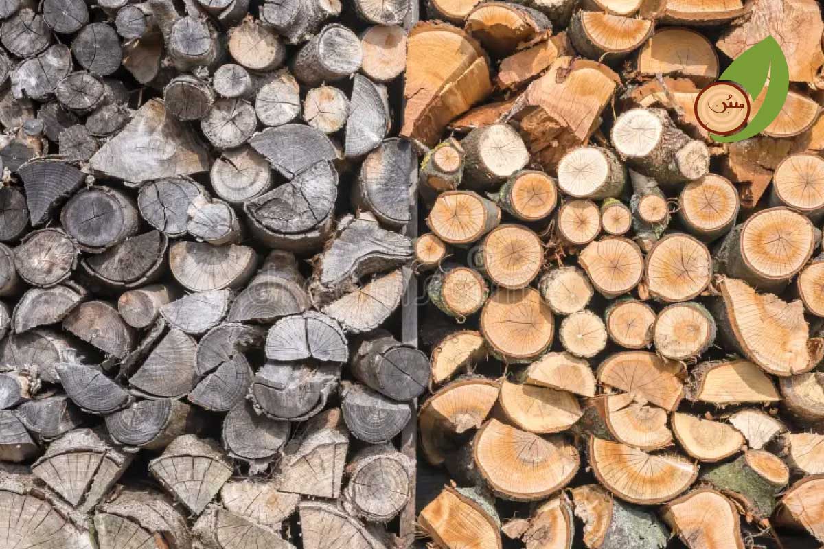 تشخیص چوب خشک از چوب تر