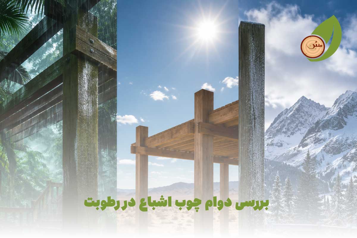 بررسی دوام چوب اشباع در رطوبت